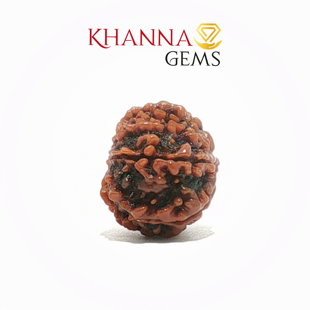 10 MUKHI NEPALI RUDRAKSHA