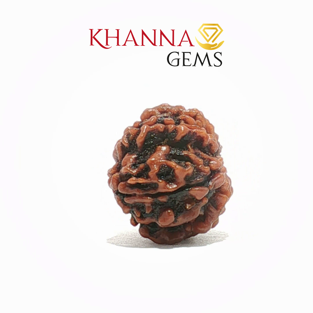 10 MUKHI NEPALI RUDRAKSHA