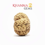 Load image into Gallery viewer, 8 MUKHI NEPALI RUDRAKSHA