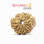 Load image into Gallery viewer, 8 MUKHI NEPALI RUDRAKSHA