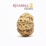 Load image into Gallery viewer, 8 MUKHI NEPALI RUDRAKSHA