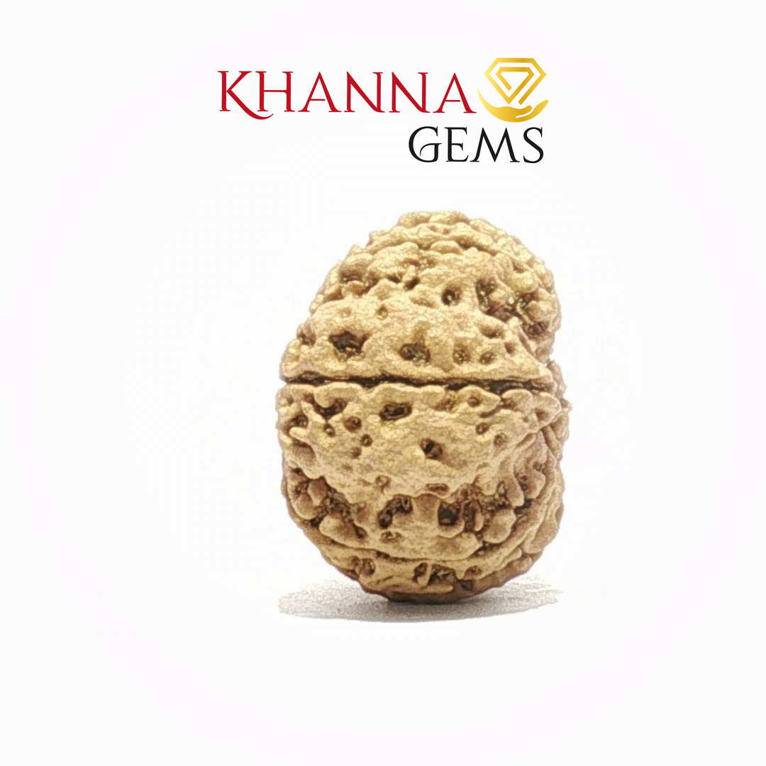 8 MUKHI NEPALI RUDRAKSHA