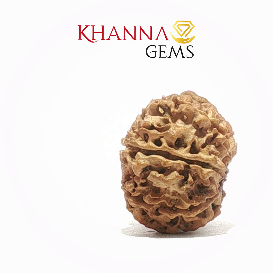 12 MUKHI NEPALI RUDRAKSHA