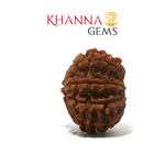 Load image into Gallery viewer, 14 MUKHI NEPALI RUDRAKSHA