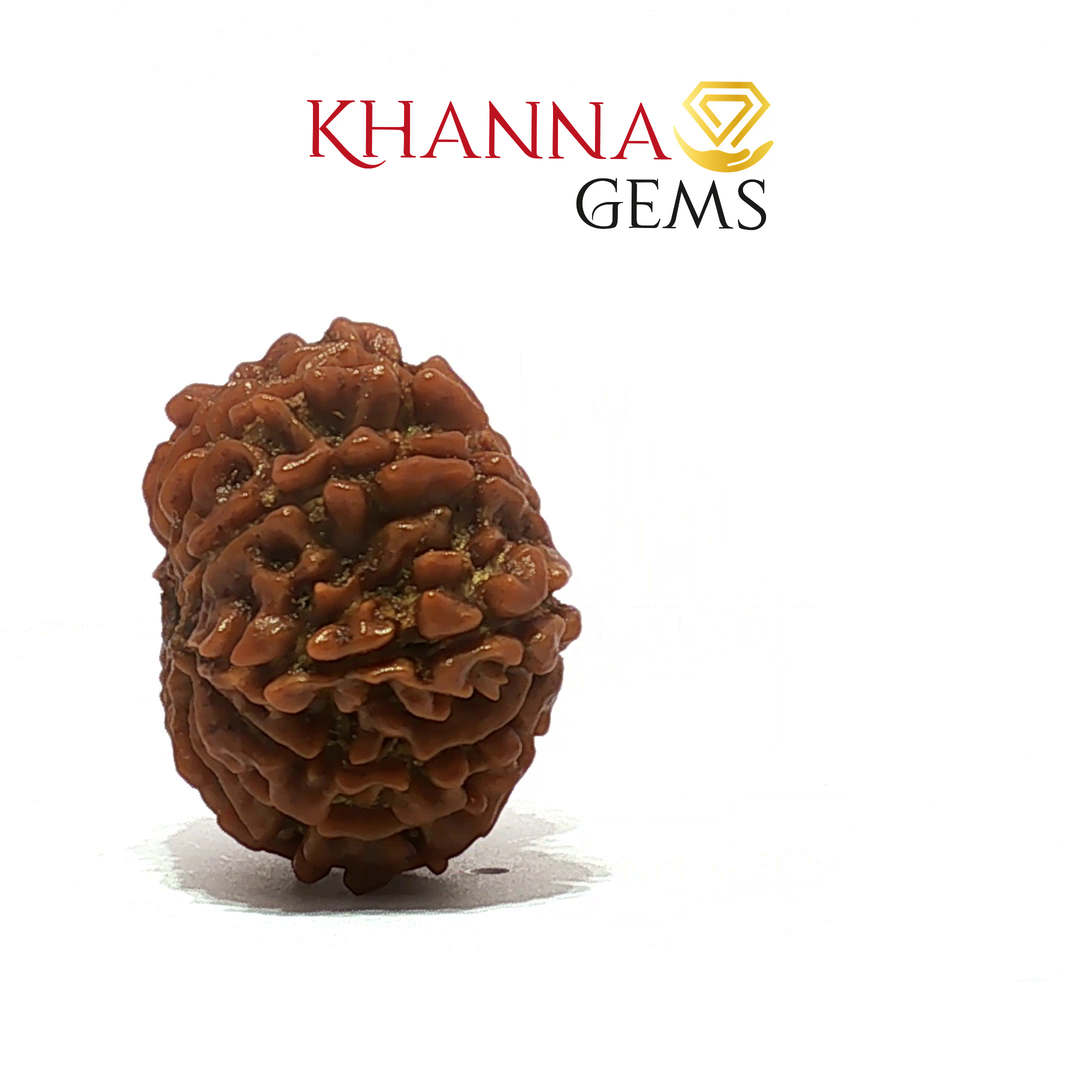 14 MUKHI NEPALI RUDRAKSHA