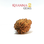 Load image into Gallery viewer, 1 MUKHI RAMESHWARAM RUDRAKSHA
