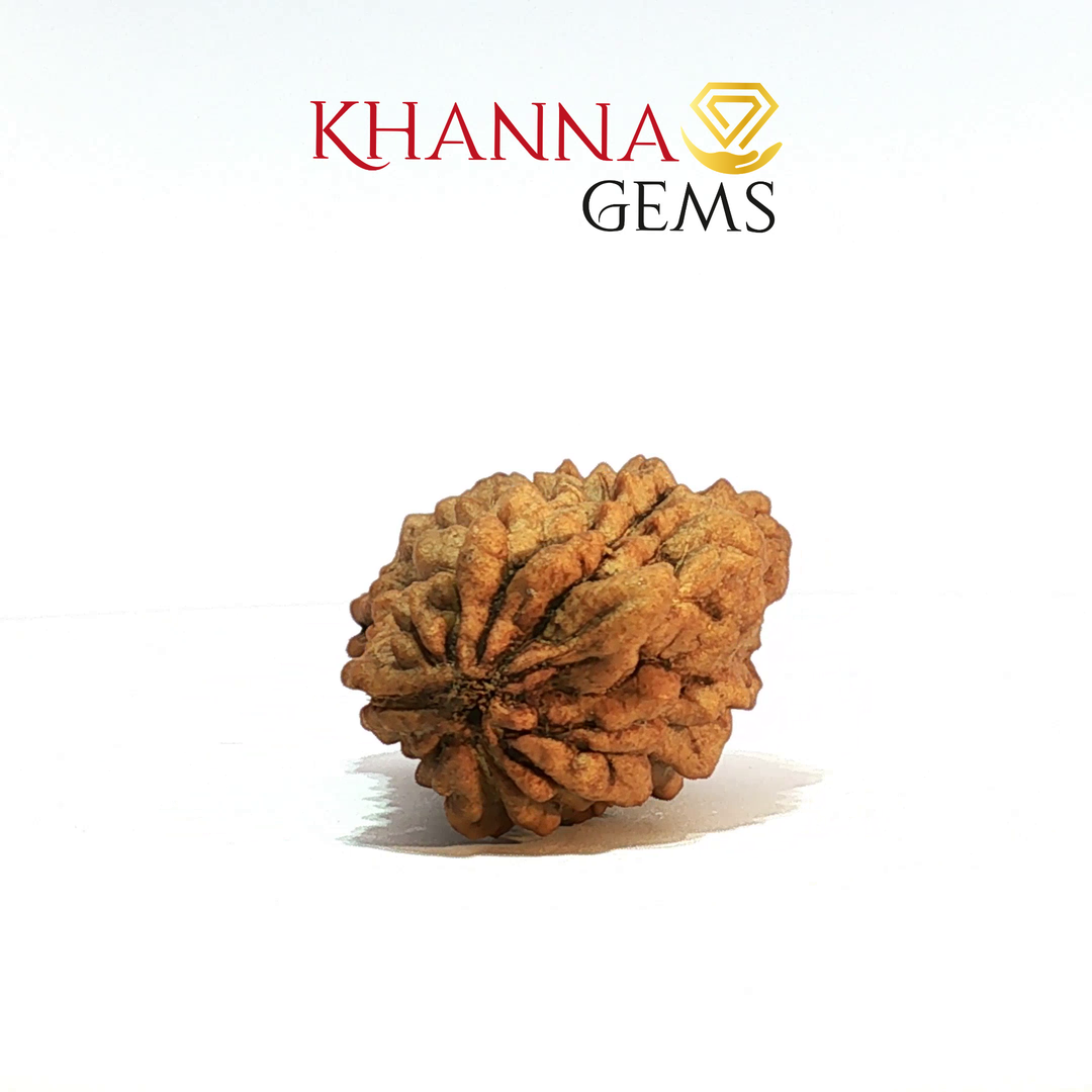 1 MUKHI RAMESHWARAM RUDRAKSHA