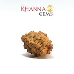 Load image into Gallery viewer, 1 MUKHI RAMESHWARAM RUDRAKSHA