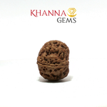 Load image into Gallery viewer, 9 MUKHI NEPALI RUDRAKSHA