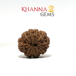 Load image into Gallery viewer, 9 MUKHI NEPALI RUDRAKSHA
