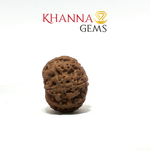 Load image into Gallery viewer, 9 MUKHI NEPALI RUDRAKSHA