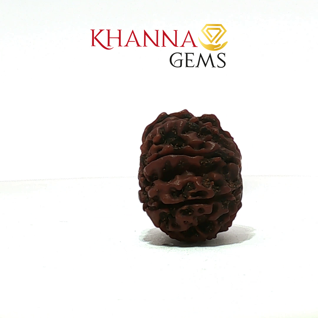 13 MUKHI NEPALI RUDRAKSHA