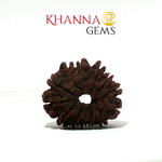 Load image into Gallery viewer, 13 MUKHI NEPALI RUDRAKSHA