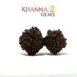 Load image into Gallery viewer, GAURI SHANKAR  RUDRAKSHA