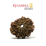 Load image into Gallery viewer, 11 MUKHI NEPALI RUDRAKSHA