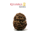 Load image into Gallery viewer, 11 MUKHI NEPALI RUDRAKSHA