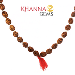 Load image into Gallery viewer, THREE MUKHI RUDRAKSHA MALA
