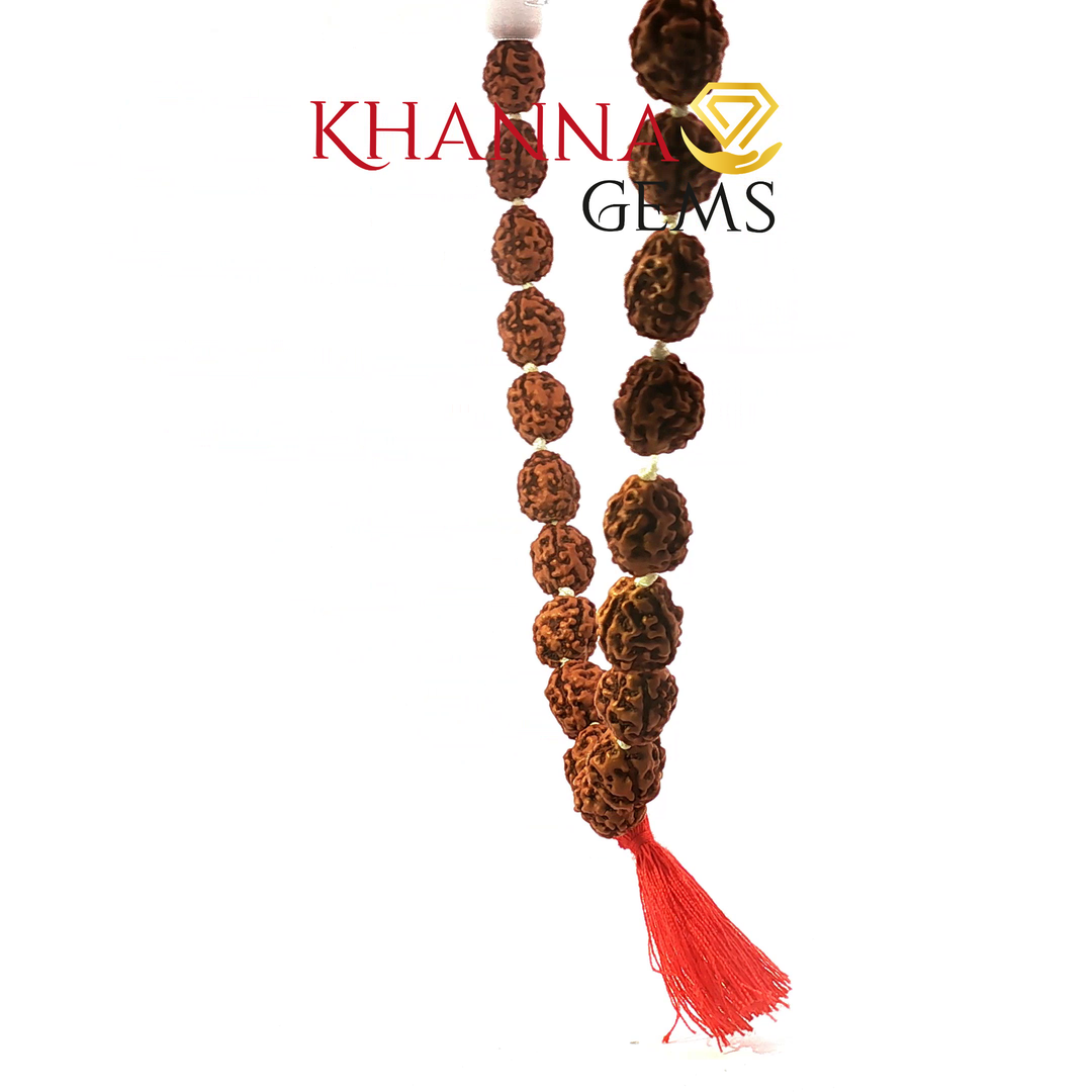 THREE MUKHI RUDRAKSHA MALA