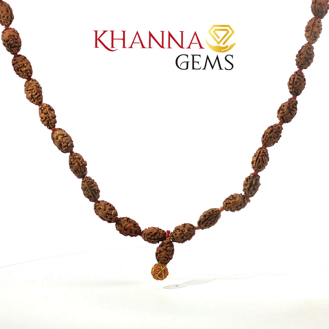 TWO MUKHI RUDRAKSHA MALA