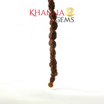 Load image into Gallery viewer, TWO MUKHI RUDRAKSHA MALA