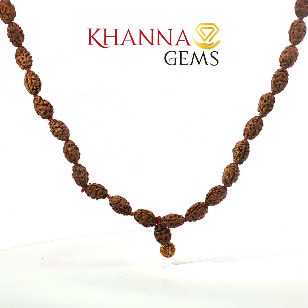 TWO MUKHI RUDRAKSHA MALA