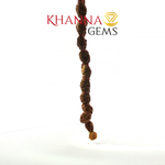 Load image into Gallery viewer, TWO MUKHI RUDRAKSHA MALA