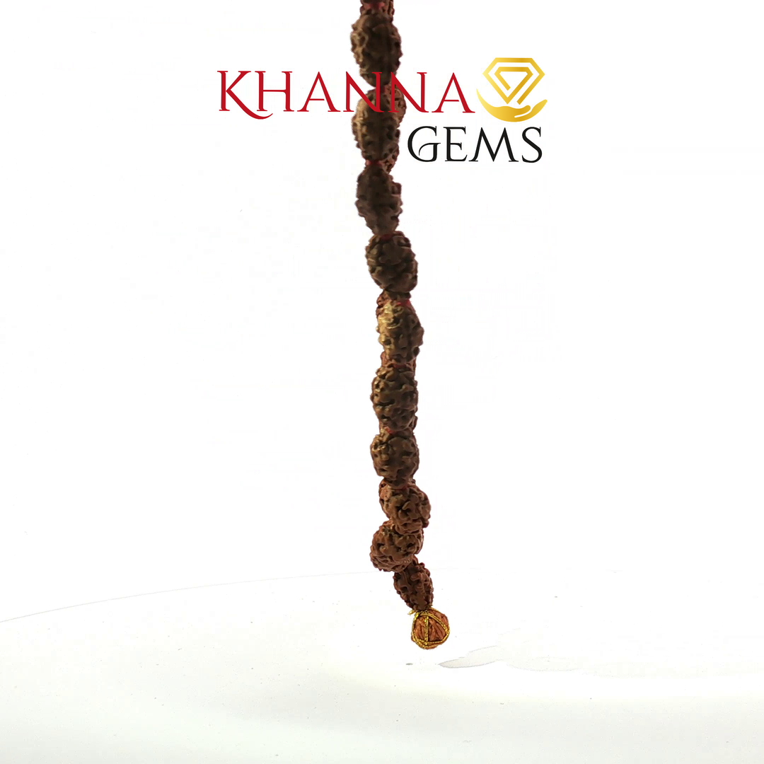 TWO MUKHI RUDRAKSHA MALA
