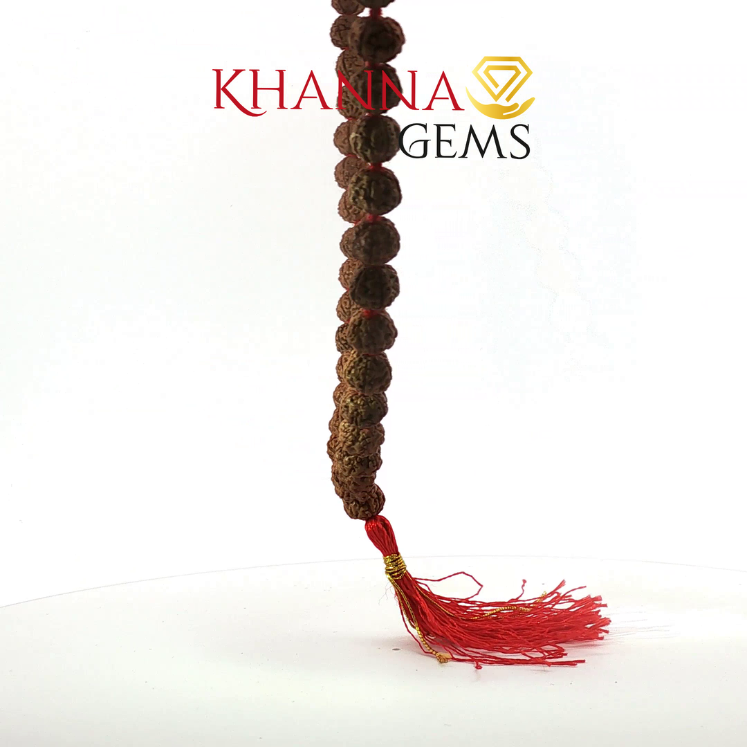 FIVE MUKHI RUDRAKSHA MALA