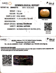 7.56/CT Natural Ceylonese Pukhraj with Govt Lab Certificate-(4551)