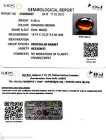 Load image into Gallery viewer, 8.49/CT Natural Hessonite Stone with Govt. Lab Certificate-2186D6057-1221-8.49