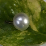 Load image into Gallery viewer, 10.79 Carat Natural South Sea Pearl With Lab Certificate

