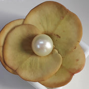 6.63 Carat Natural South Sea Pearl With Lab Certificate