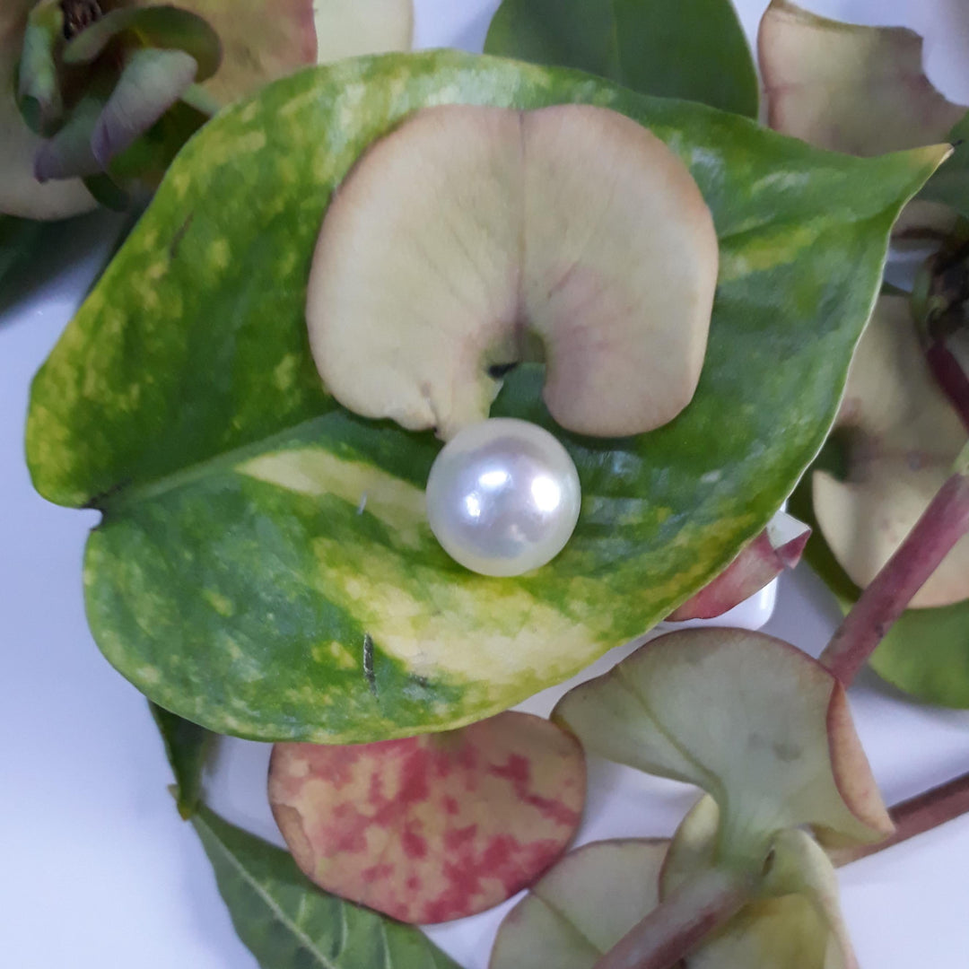 4.02 Carat Natural South Sea Pearl With Lab Certificate