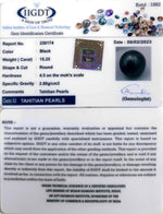 Load image into Gallery viewer, 15.25/CT Natural Tahitian Pearl With Lab Certificate-(1332)
