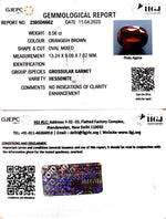 Load image into Gallery viewer, 8.56/CT Natural Govt. Lab Certified Ceylonese Gomed-(1221)
