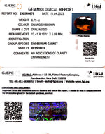 Load image into Gallery viewer, 6.75/CT Natural Govt. Lab Certified Ceylonese Gomed-(1221)

