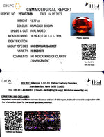 Load image into Gallery viewer, 13.77/CT Natural Govt. Lab Certified Ceylonese Gomed-(1221
