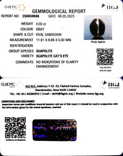 4.00/CT Natural Scapolite Cat's Eye with Govt. Lab Certified-(1221)