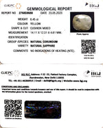 Load image into Gallery viewer, 8.45/CT Natural Ceylonese Pukhraj with Govt Lab Certificate (6771)

