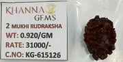 0.920 Gram Natural Two Mukhi Rudraksha with Govt. Lab Certificate-KG615126