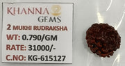 0.790 Gram Natural Two Mukhi Rudraksha with Govt. Lab Certificate-KG615127