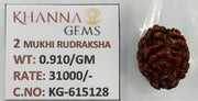 0.910 Gram Natural Two Mukhi Rudraksha with Govt. Lab Certificate-KG615128