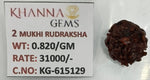 Load image into Gallery viewer, 0.820 Gram Natural Two Mukhi Rudraksha with Govt. Lab Certificate-KG615129