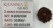 0.820 Gram Natural Two Mukhi Rudraksha with Govt. Lab Certificate-KG615129