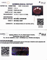 Load image into Gallery viewer, 7.47/CT Natural Mozambique Ruby with Govt. Lab Certificate (RUBY9W)
