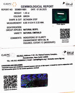 Load image into Gallery viewer, 1.40/CT Natural Panna Stone with Govt. Lab Certificate (12210)
