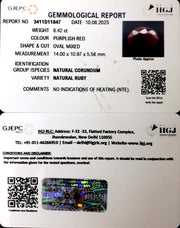 8.42/CT Natural Indian Ruby with Govt. Lab Certificate (1221)