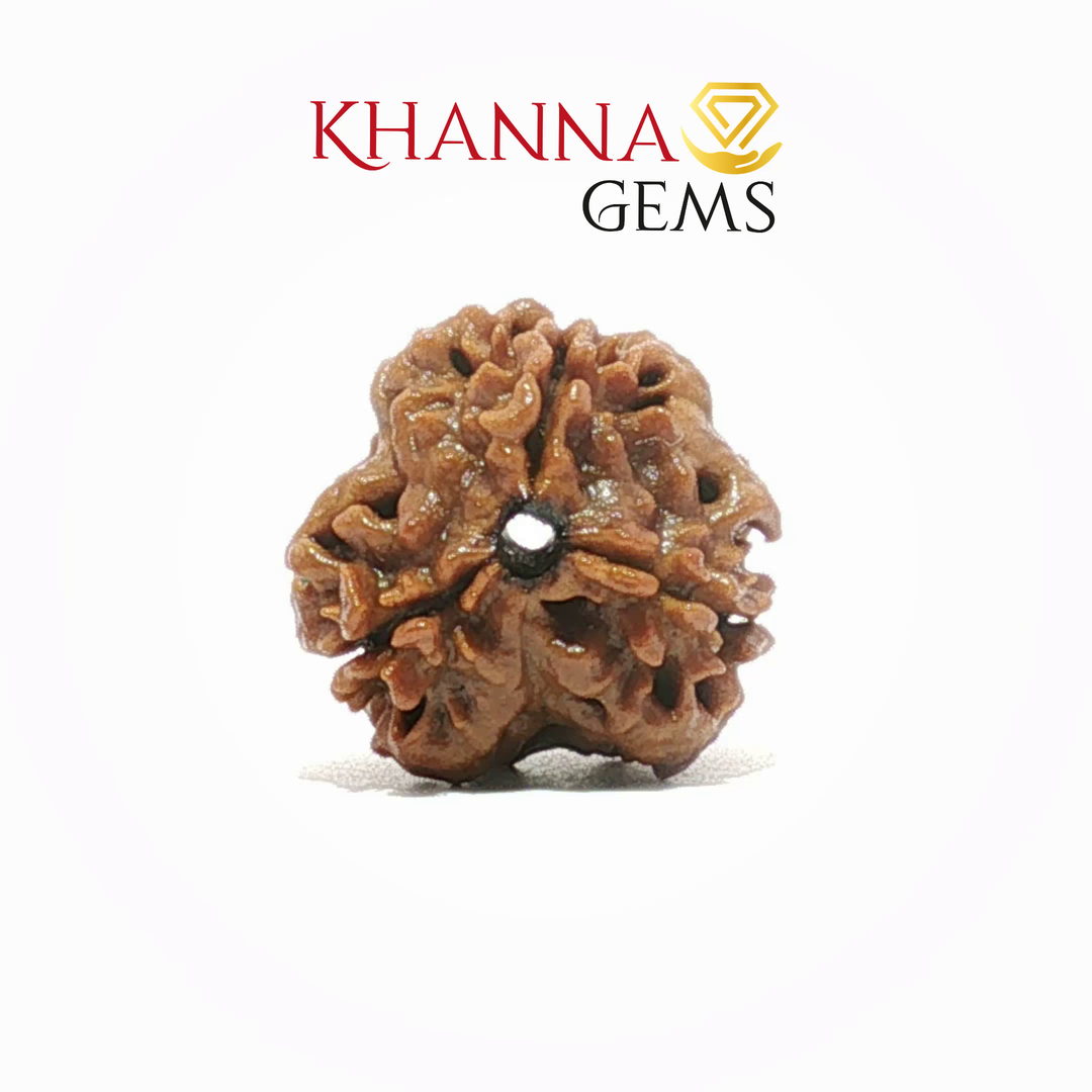 3 MUKHI NEPALI RUDRAKSHA