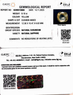 Load image into Gallery viewer, 9.18/CT Natural Ceylonese Pukhraj with Govt Lab Certificate-78810
