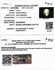 8.39/CT Natural Chrysoberyl Cat's Eye with Govt. Lab Certificate (8991)